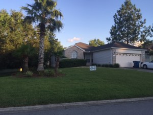 Yard of the Month - June 2016 -  3401 Millcrest Drive